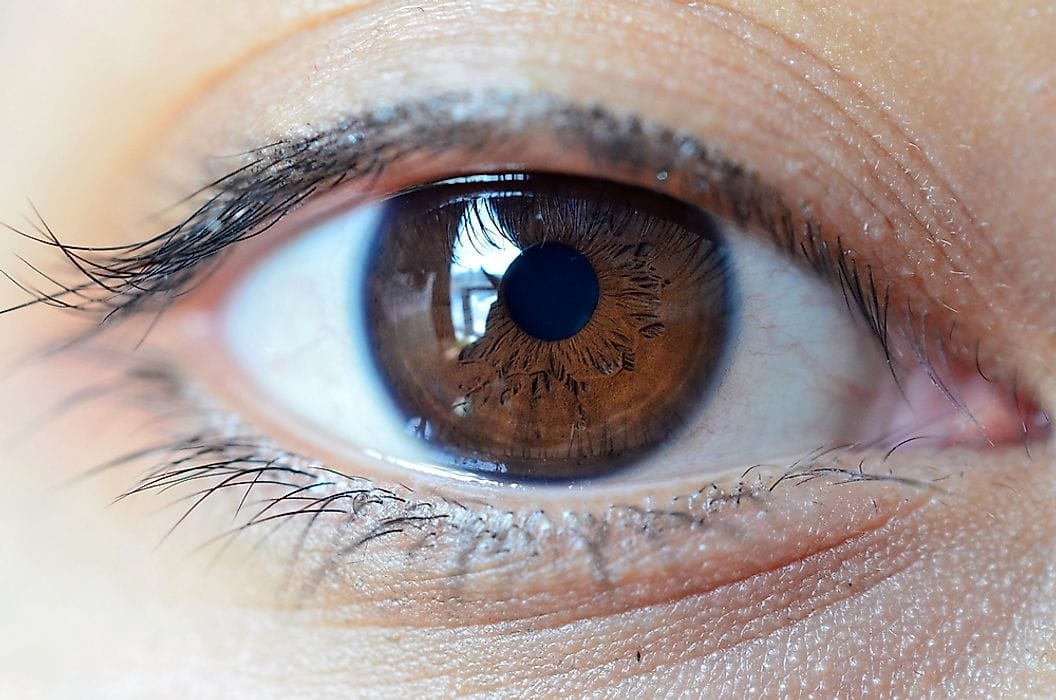 Know your personality based on colour of your eyes