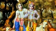 Balram Jayanti: Know about the festival, muhurat and puja methods for son's longevity
