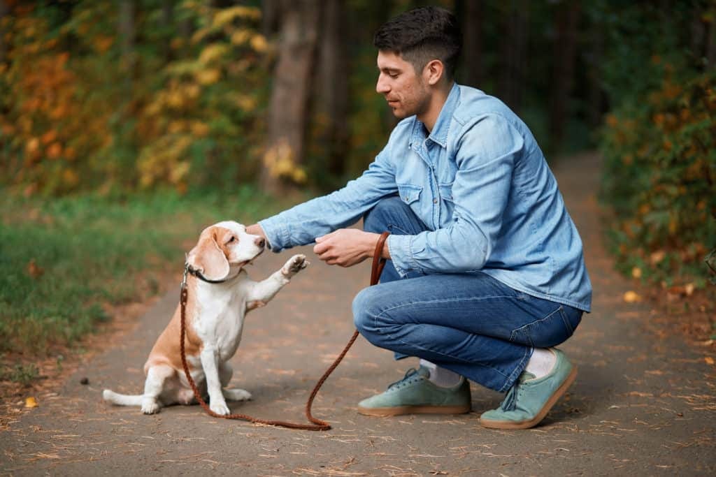 Read to know the compatibility of Taurus with other zodiac signs.