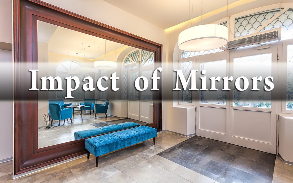 Mirror Effects in Life