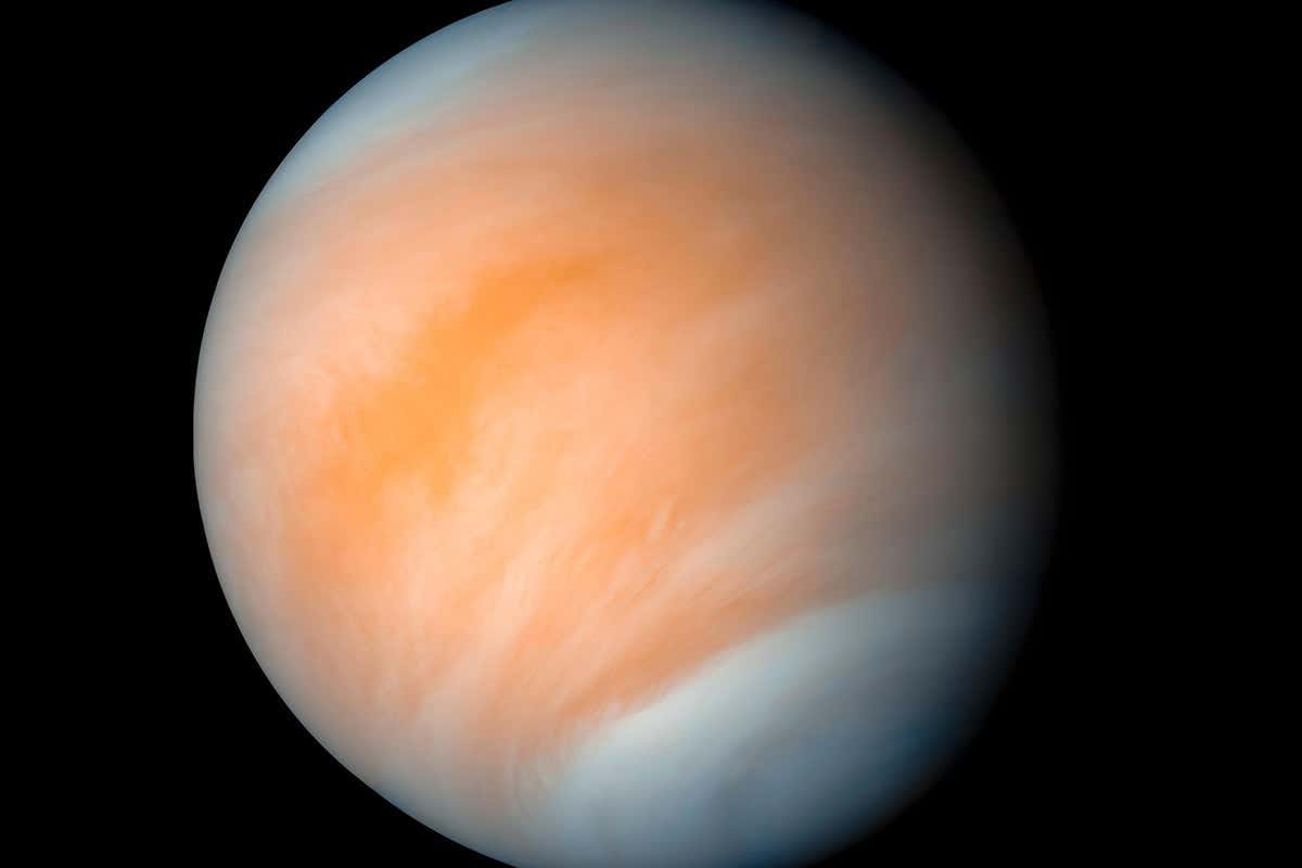 Venus Planet
