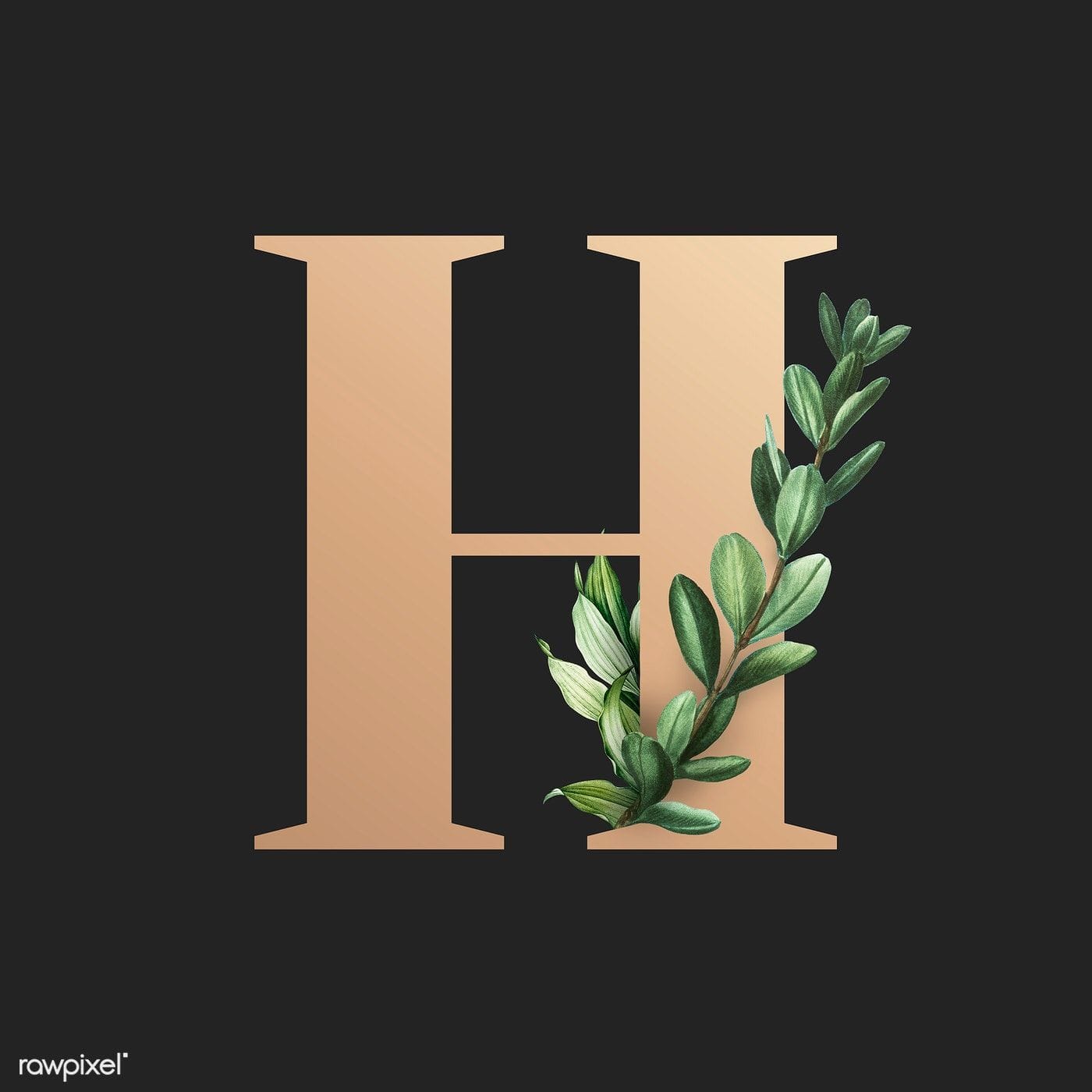 letter H