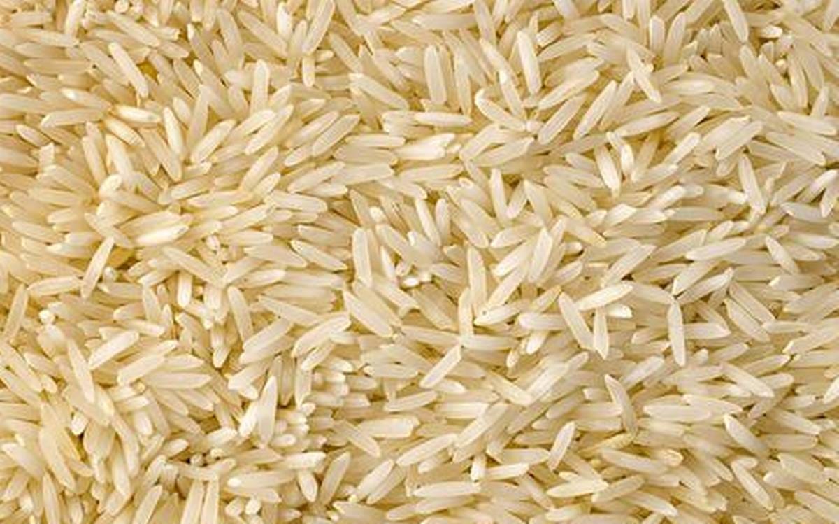 rice