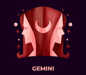 GEMINI