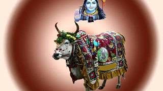 Nandi Gayatri Mantra: Know about the Divinity of the Mantra, Right ways to Chant and it’s significance