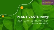 Plant Vastu 2023: