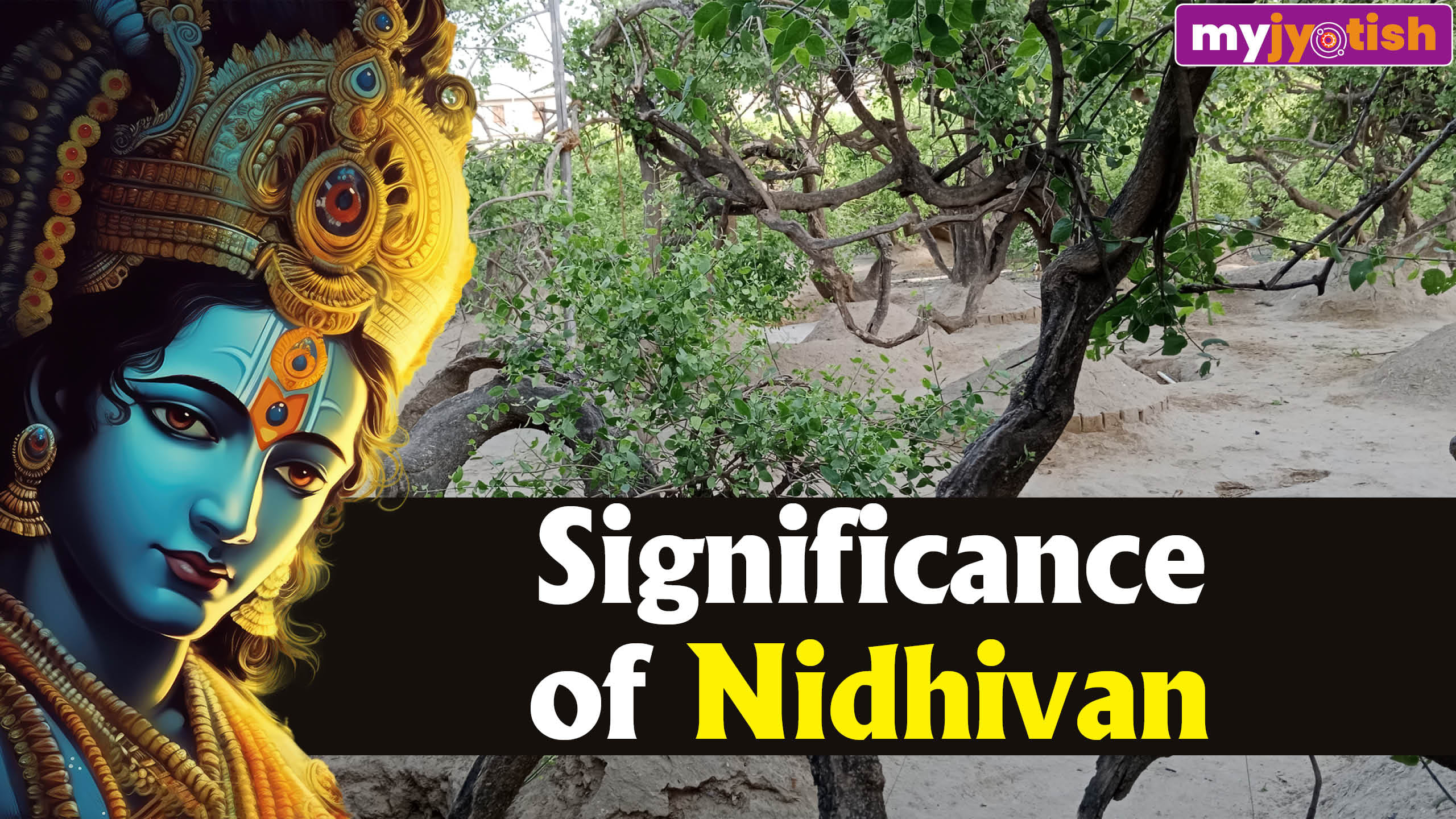 significance of nidhivan