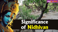significance of nidhivan