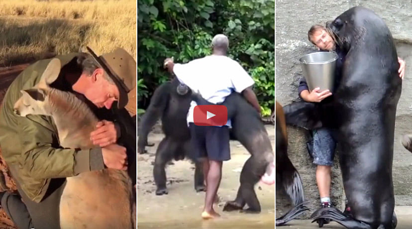 This is the way animals show their gratefulness to the human who saved them