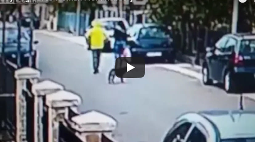 Stray Dog Saves Woman From Robbery