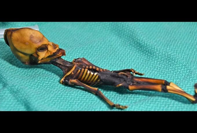 mystery of alien skeleton found in chili solved and genes tell a different story