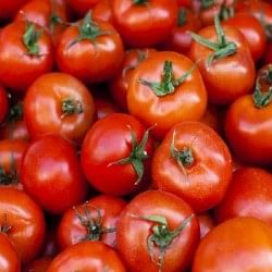 viral video of pakistani bride wearing tomato jewellrey