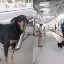 Abandoned Dog join Railway Force Personnel to Warn Commuters Against Footboard Traveling