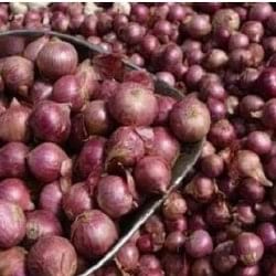 karnataka Farmers became millionaires due to increase rate of onion