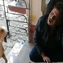 Dog Singing With Man As He Plays Harmonium and become internet sensation