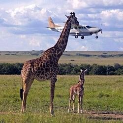 Amazing perfectly timed sports funny photos perfect timing photos