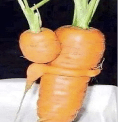 jugaad funny photos funny photos desi jugaad photos  viral on social media funny photos desi jugaad