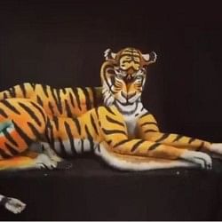 viral video of four girl who become tiger within 15 second people hilarious comment on it