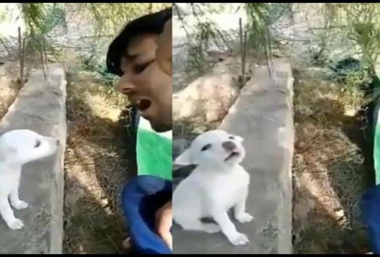 viral video