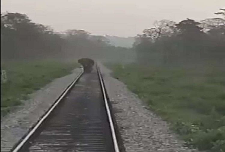 An elephant walking on the railway track then locopilot saved his life susanta nanda shared the video