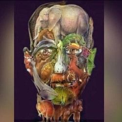 Can you find the camel in this optical illusion picture IAS officer Dipanshu Kabra Shared the picture