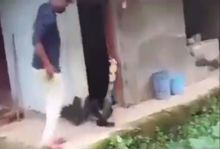 Viral Video Man tries to rescue king cobra see what happened next