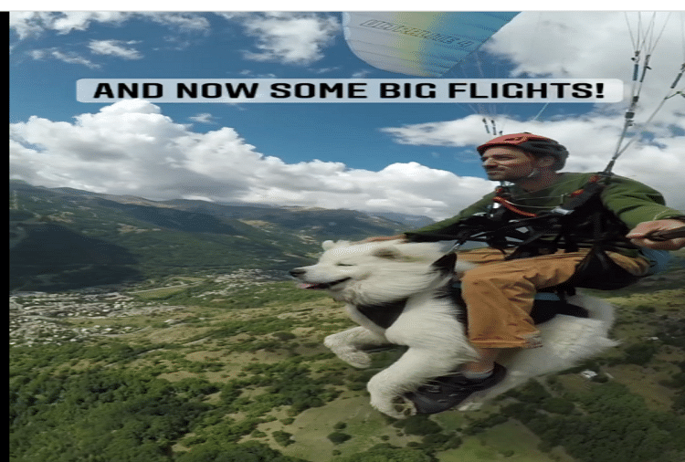 dog paragliding with his human friend video goes viral on social media