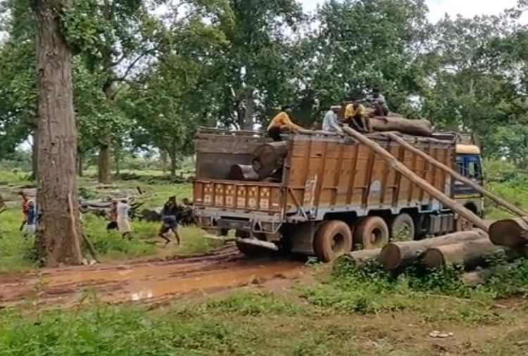 viral video workers took out a wonderful idea to load wood on the truck after watching video you Will appreciate this