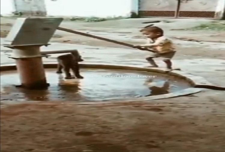 child run hand pump and quenched the dog thirst video goes viral on social media