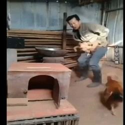 A chicken fight with a man for save his chicken life than shocking thing happened watch this viral video