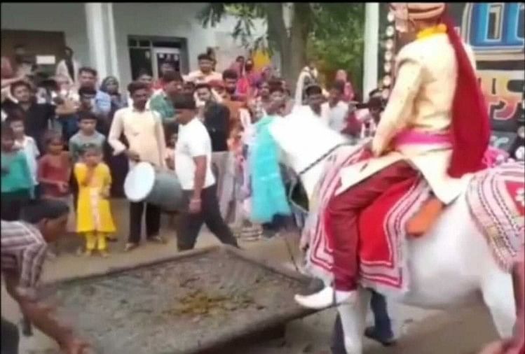 during the ritual in a wedding a mare runaway with groom people kept running back and catch mare