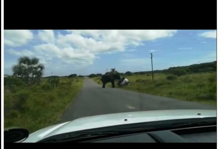 Four people were sitting in the car then a angry elephant attack on people