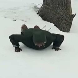 Indian army jawan showed 47 pushups in just 40 seconds in servers winter watch this shocking video