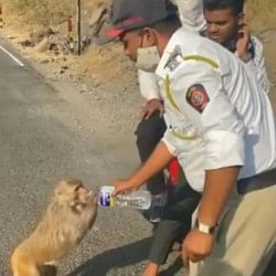 Such attitude of the policeman with the thirsty monkey won the hearts of the people