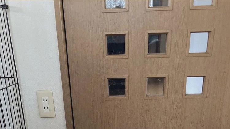 Optical Illusion Do you see a cat in this picture this Optical Illusion is going viral on internet