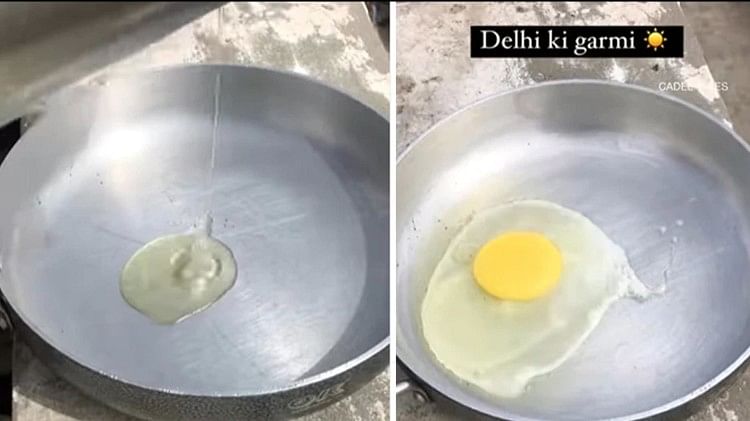 Heatwave In Delhi Man made omelet with the heat of the sun video viral