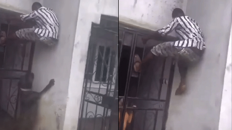 Funny Video Dogs welcomed the thief who came to steal stuck at the door