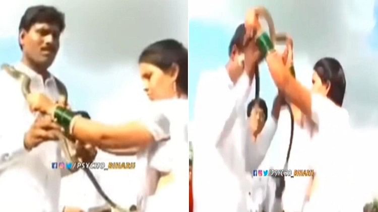 Bride Groom Video bride put a dangerous snake neck of groom instead of jaimala video viral