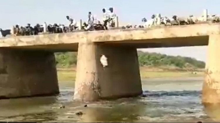 Viral Video Shepherds threw sheep into rive from a 40 feet high bridge to save them from heatwave