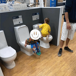 Trending News: Seeing the dummy toilet seat in the shop the children did such an act