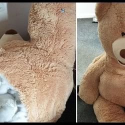 Thief Inside A Giant Teddy Bear to dodge the police you cannot even imagine