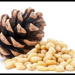 Chilgoza Khane Ke Fayde aur nuksan know the benefits of eating Pine Nuts In Hindi
