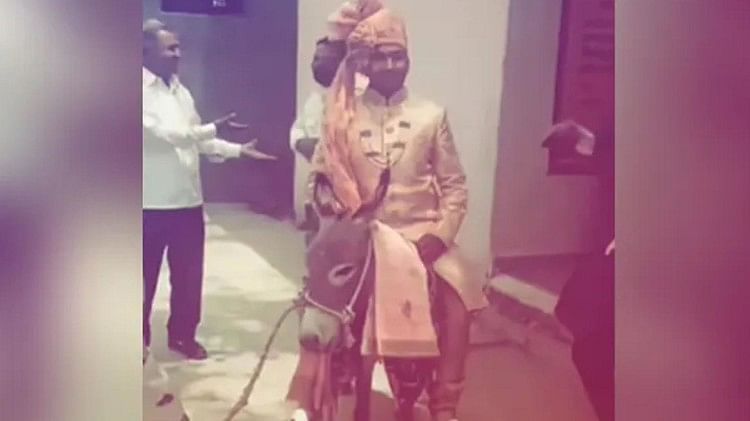 dulhe ka video groom sitting on donkey for baraat bride video viral on social media