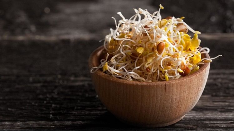 Fenugreek Seeds