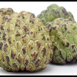 Sharifa Ke Patte Ke Fayde In Hindi: Benefits of Sharifa Leaf Tea