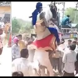 Funny Viral Video: groom fall down from horse in marriage ceremony