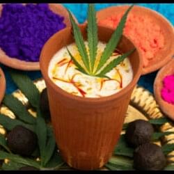 Holi 2023 Interesting Facts Why Do People Drink Bhang On Holi In Hindi
