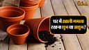 Vastu Tips for Empty Pot: