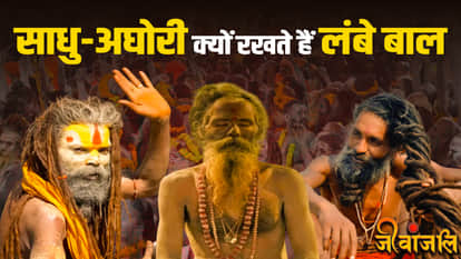 Sadhu-Sant History