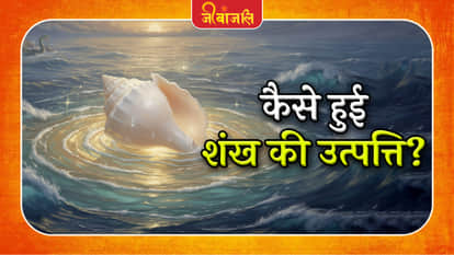 Conch Shell Origin Story